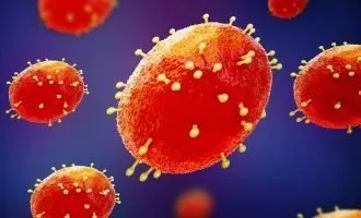 ویروس آبله میمون