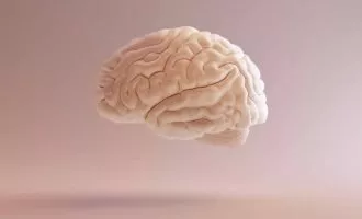 مغز انتخاب حس ها