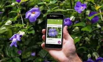 برنامه PlantNet