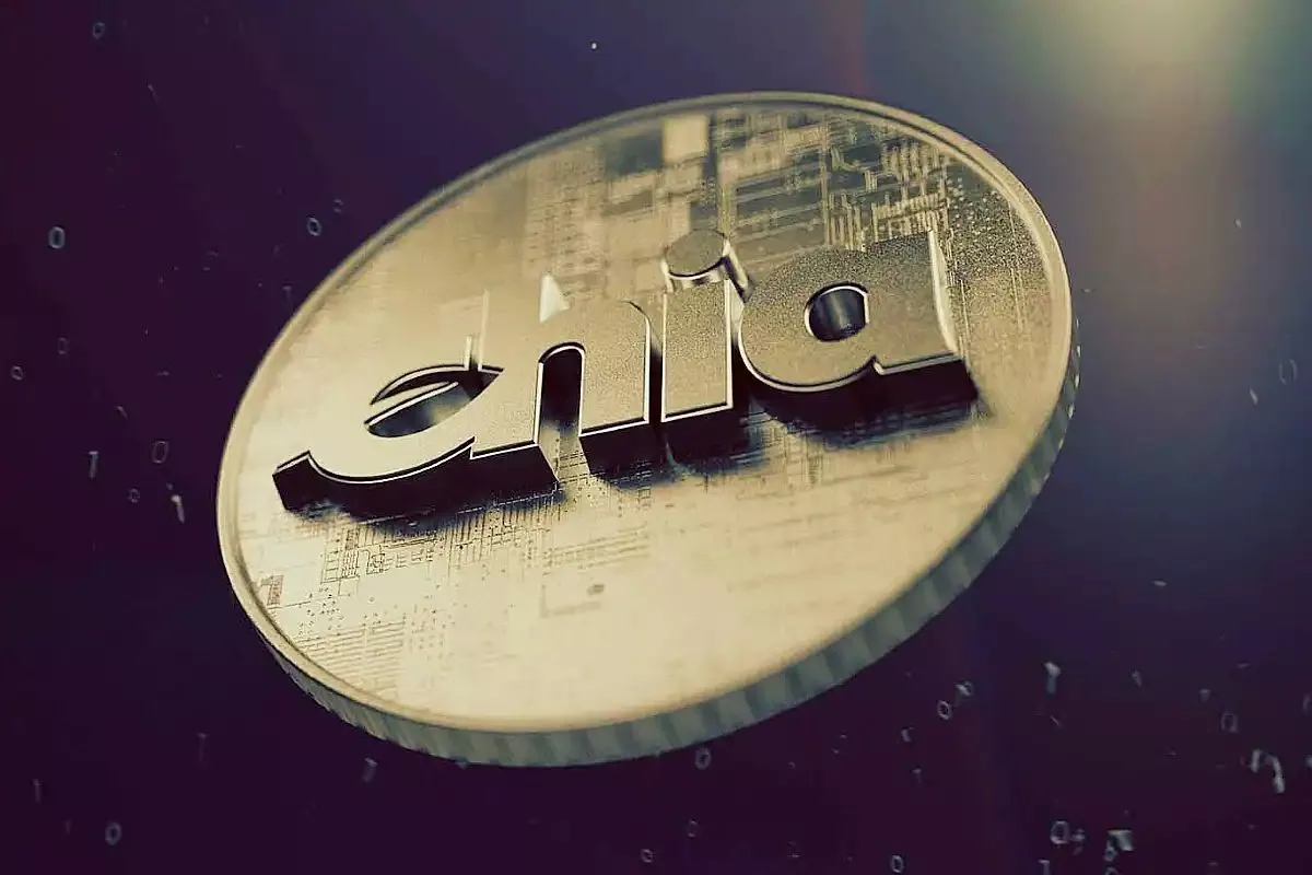 ارز چیا