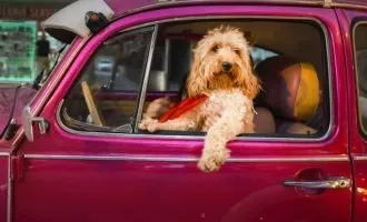 مسابقه عکاسی