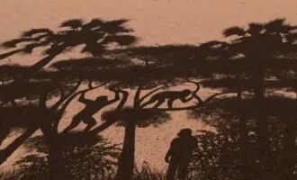 ساحل‌مردم چادی