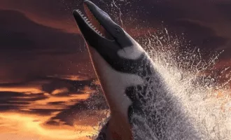 مارمولک دریایی