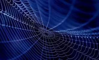 ساخت ژل پزشکی از پروتئین ابریشم عنکبوت