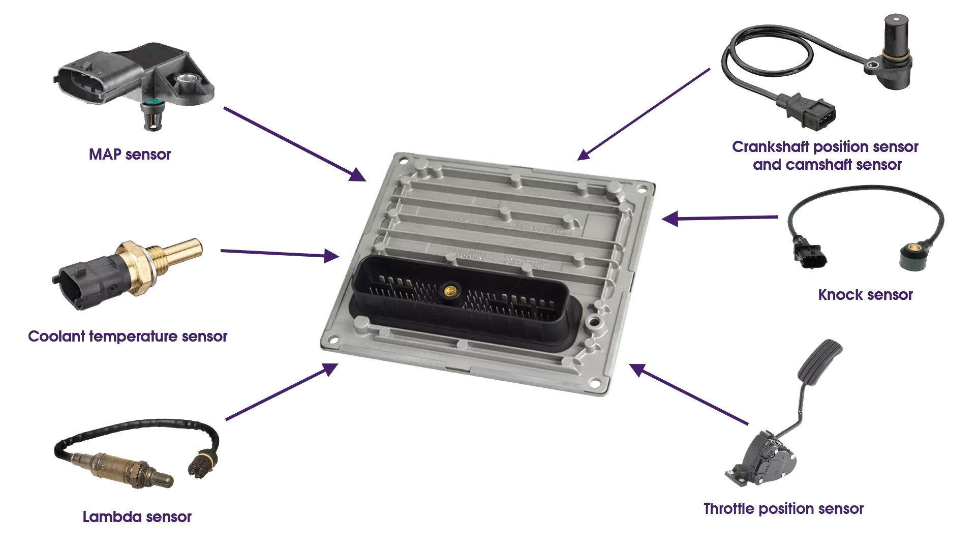 ECU ایسیو