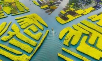 مسابقه عکاسی