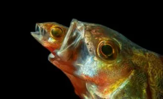 مسابقه عکاسی