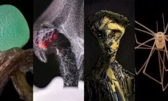 مسابقه عکاسی