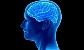 نحوه ذخیرهسازی خاطرات در مغز