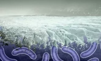 ویروس در یخچال‌ها