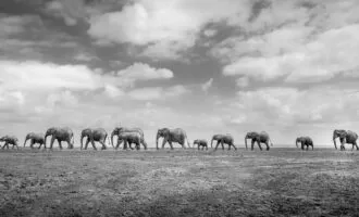 مسابقه عکاسی