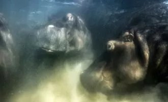 مسابقه عکاسی