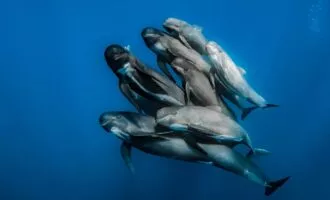 مسابقه عکاسی