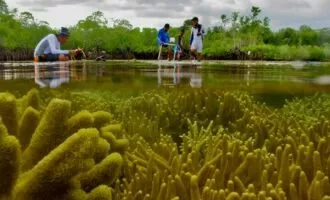 مسابقه عکاسی