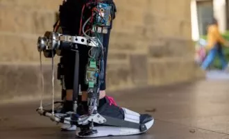 اسکلت خارجی