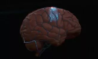 رابط مغزی سنکرون