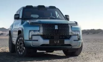 بی وای دی یانگ وانگ