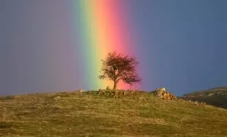 تصویر روز ناسا: انتهای رنگین‌کمان به کجا می‌رسد؟