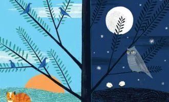 چرخه خواب و بیداری بدن