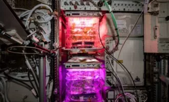 گوجه‌های ایستگاه فضایی بین‌المللی