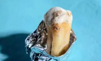 آنتی بیوتیک