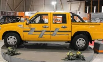 قیمت زامیاد