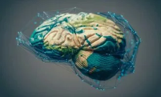 نقشه مغزی