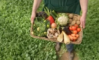 آیا غذای ارگانیک سالم تر است