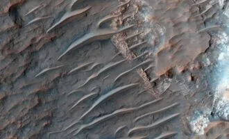 مریخ نورد
