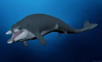 نهنگ
