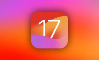 17