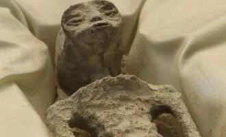 جسد بیگانه