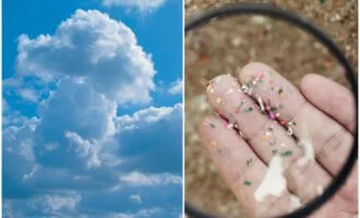 میکروپلاستیک