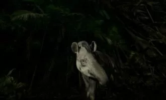 مسابقه عکاسی