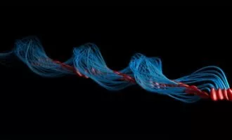 مکانیک حرکت اسپرم