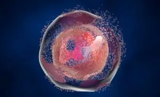 مرگ انفجاری سلول