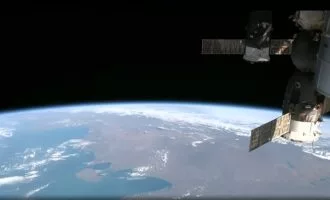 امکان پرورش جنین موش در فضا