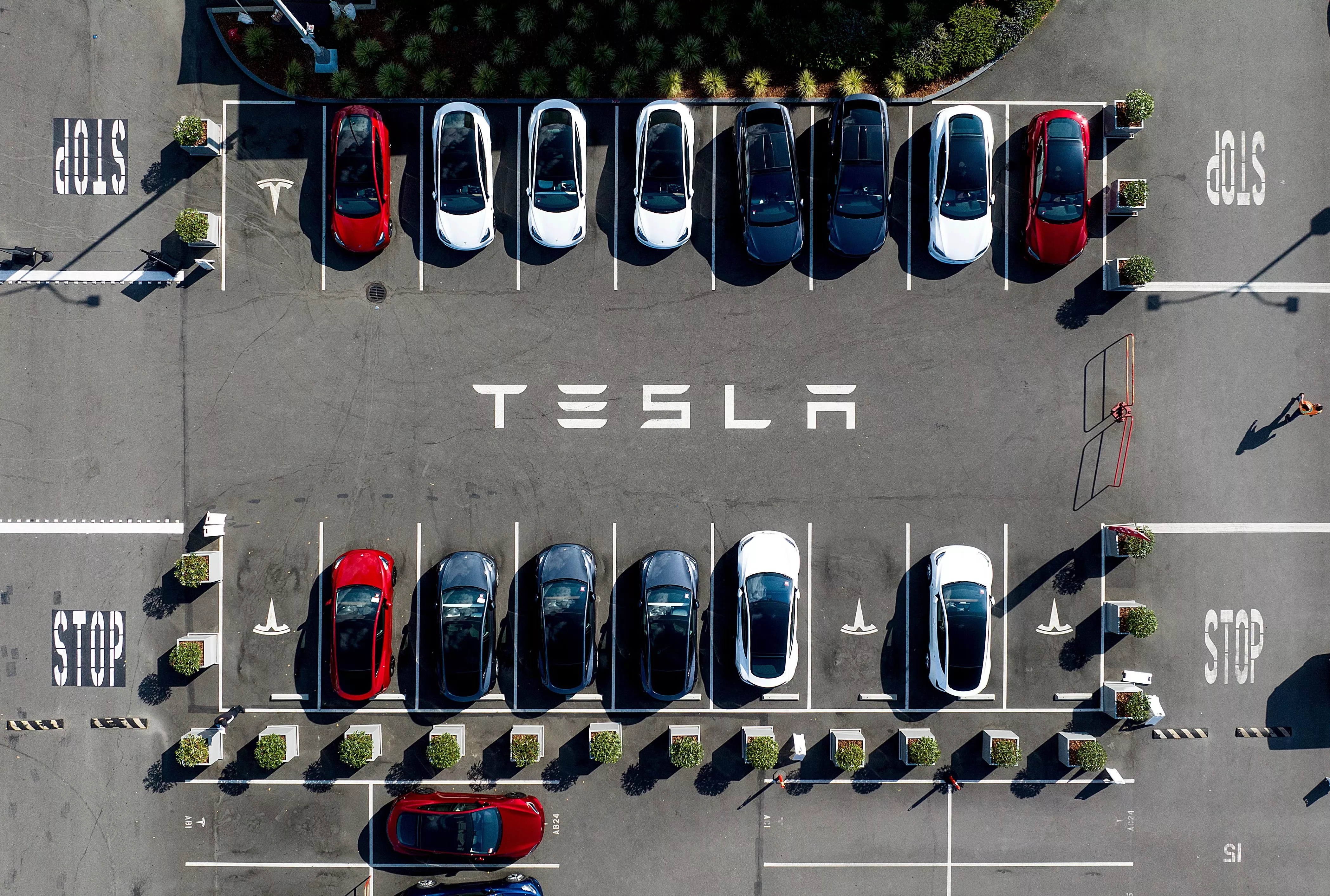 tesla