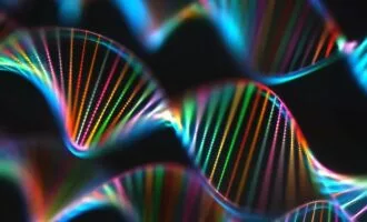 DNA