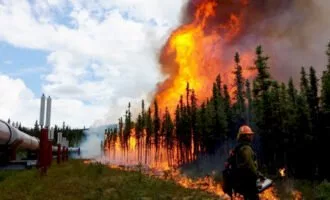 انسان و تخریب طبیعت