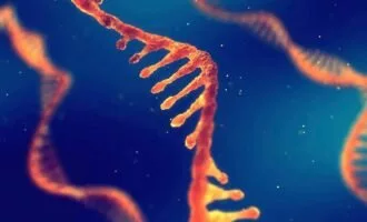 نقش RNA در یادگیری و حافظه