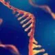 نقش RNA در یادگیری و حافظه