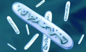 نقش باکتری های روده در سلامت روان