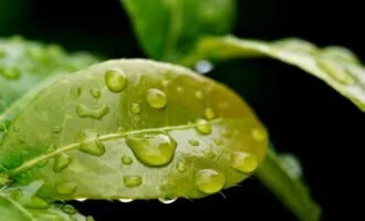 گیاه مصنوعی تولید برق