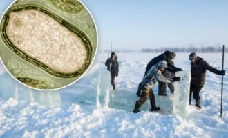 ویروس زامبی