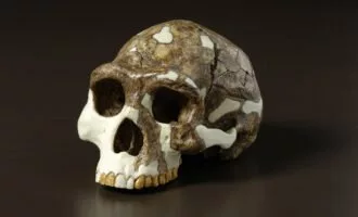 انسان اولیه