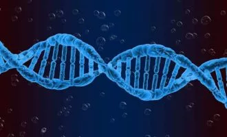 شخصیت و ژنتیک