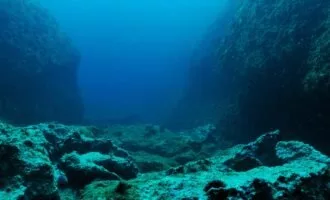 جدیدترین اکتشافات دریایی