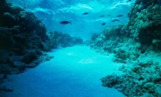 زیر اقیانوس