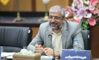 علیرضا شاه‌میرزایی، معاون وزیر صمت